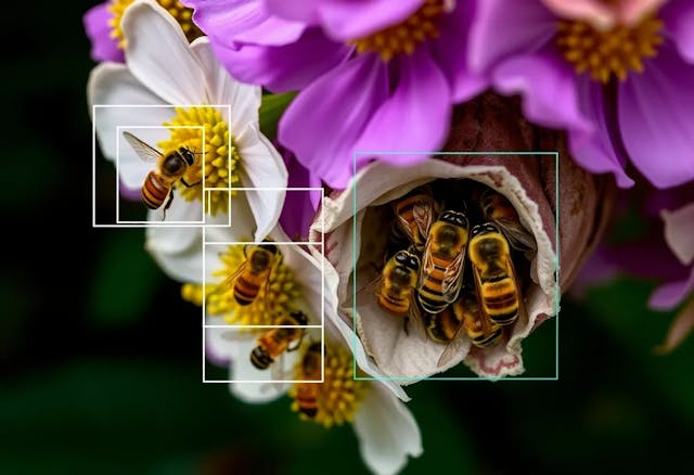 /why-retro-identification-is-the-key-to-efficient-animal-behavioural-research feature image