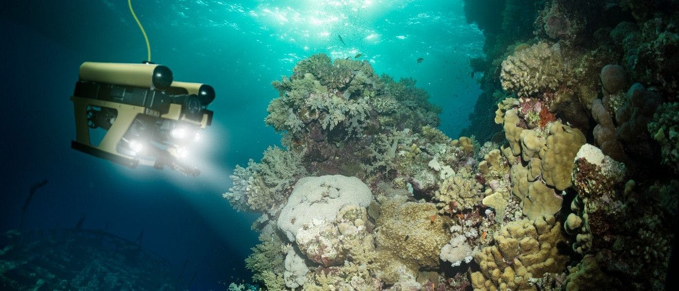 featured image - How Robots Discovered 30+ New Sea Creatures