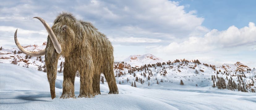 /the-role-of-ai-in-resurrecting-extinct-species feature image