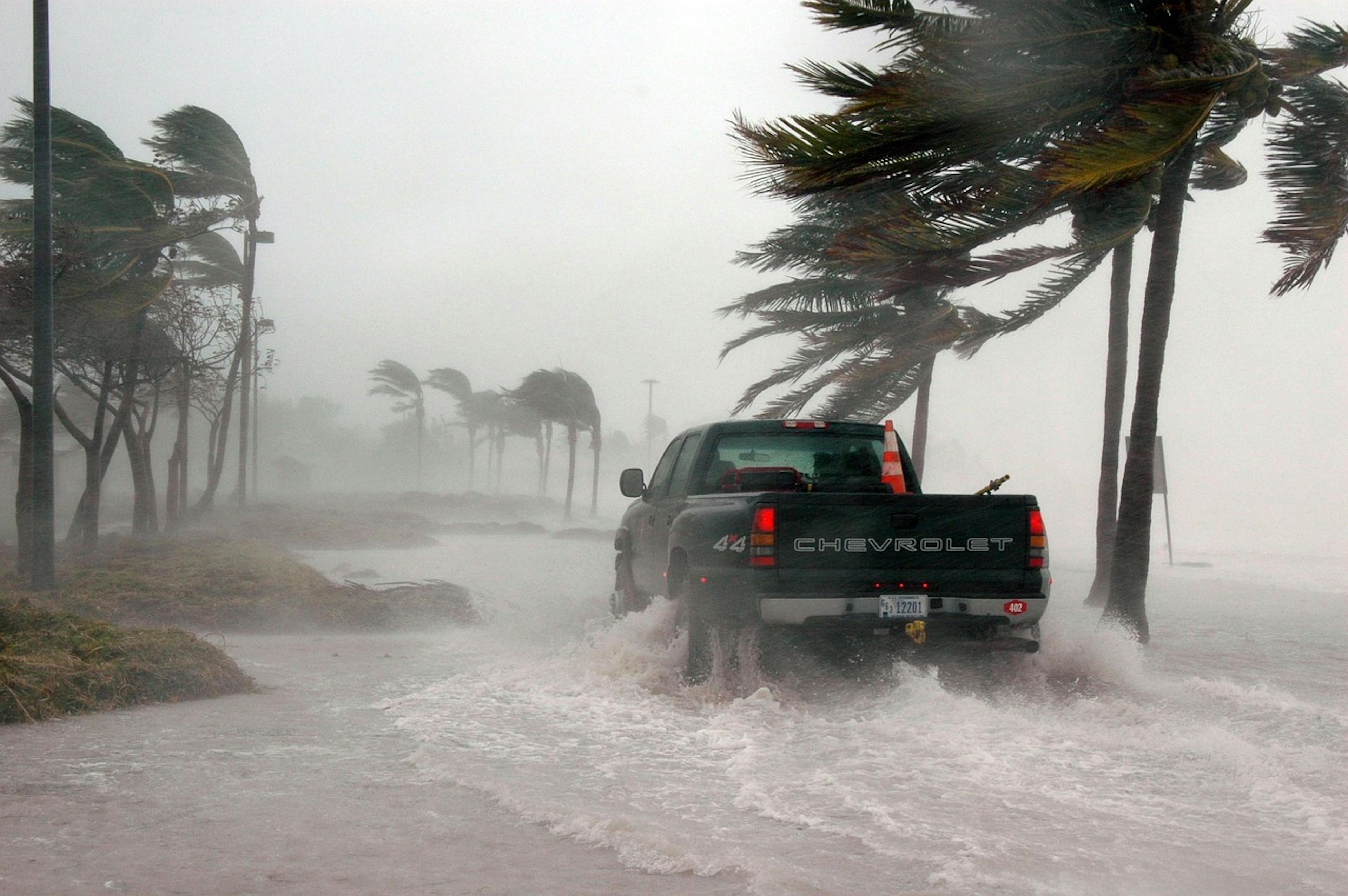 featured image - How Mobile Weather Apps Help You Survive the Hurricane Season