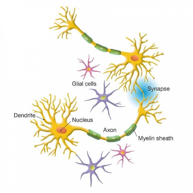 /llms-how-does-the-brain-solve-generative-ais-hallucination-problem feature image