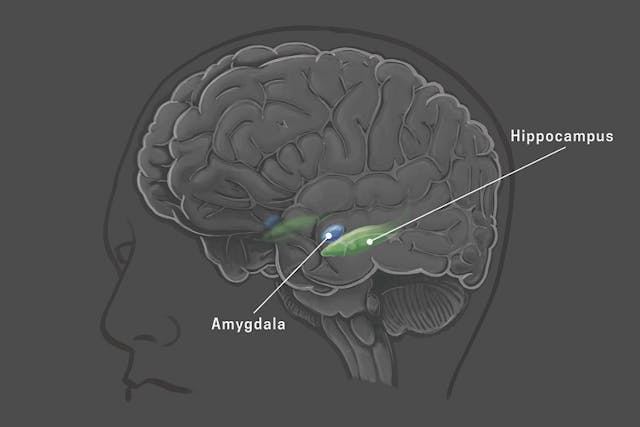 /llms-innovation-investing-human-intelligence-research-lab feature image