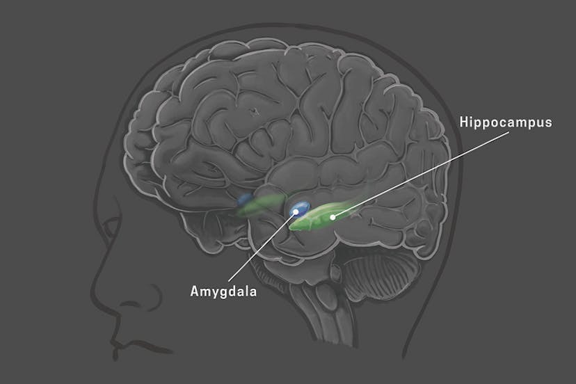 /llms-innovation-investing-human-intelligence-research-lab feature image
