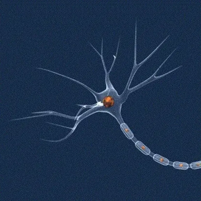 featured image - A Theory of Neuroimaging —for Brain Science and Consciousness​