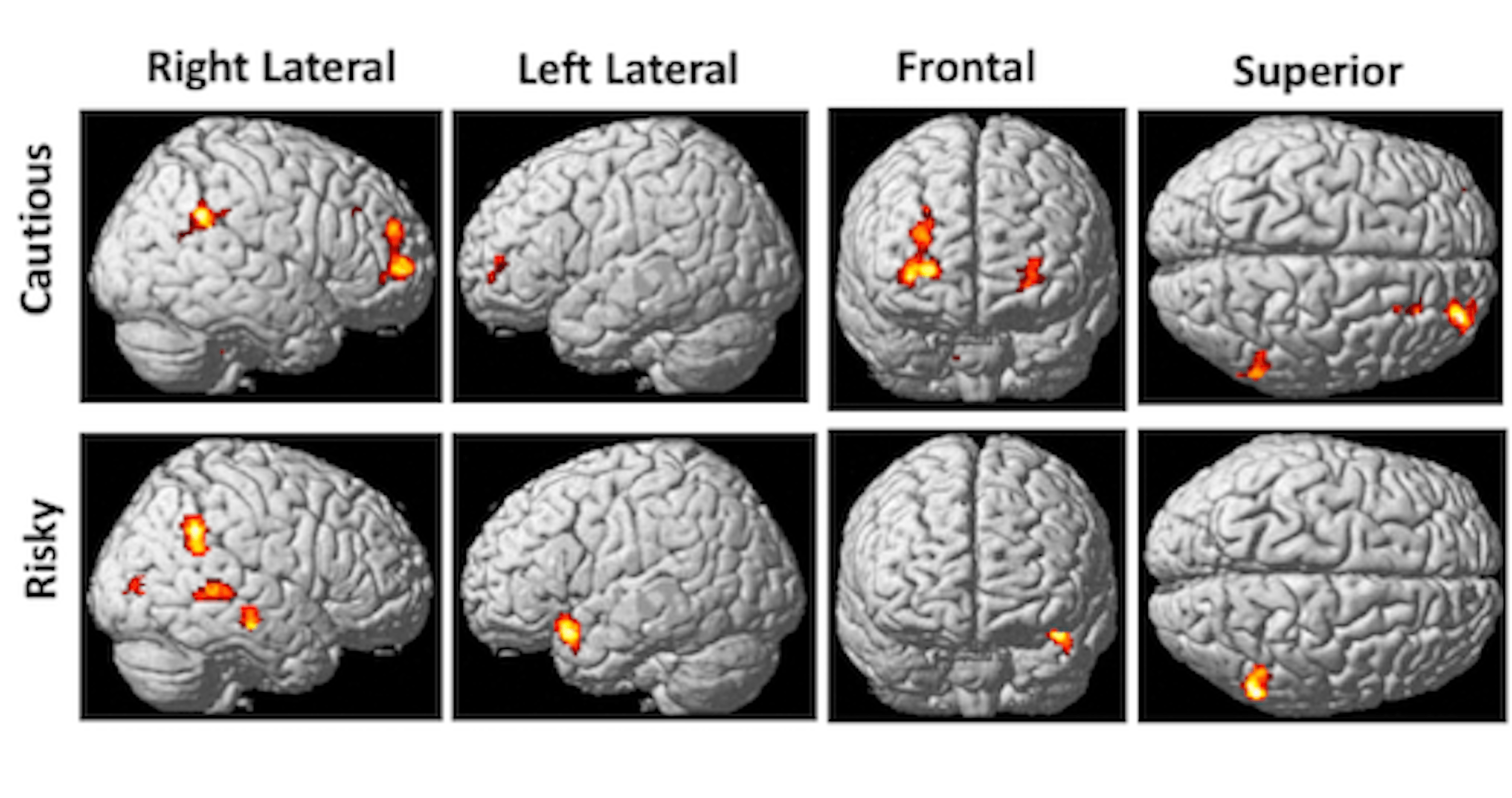 /ai-sleep-computational-neuroscience-dreams-loneliness-and-predictive-coding feature image