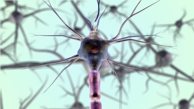 /digital-health-and-ai-research-llms-for-prompt-and-quality-sleep feature image