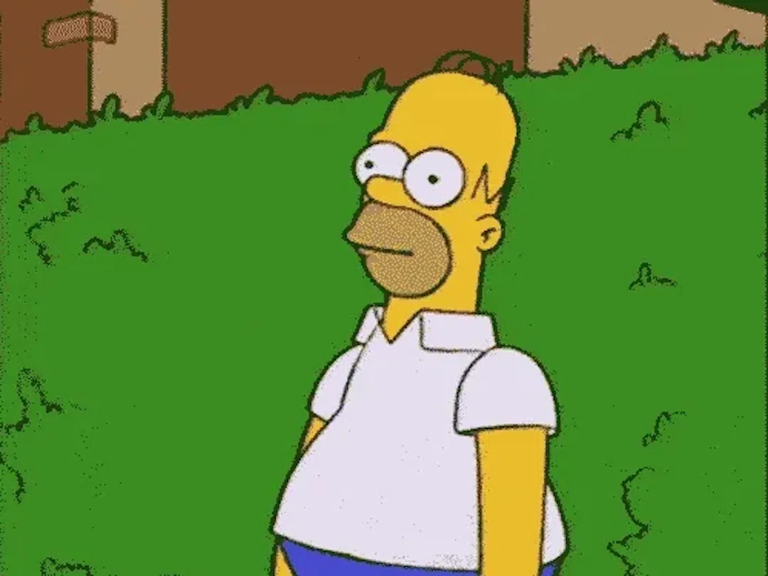 Source: Scared Homer Simpson GIF by reactionseditor — on GIPHY