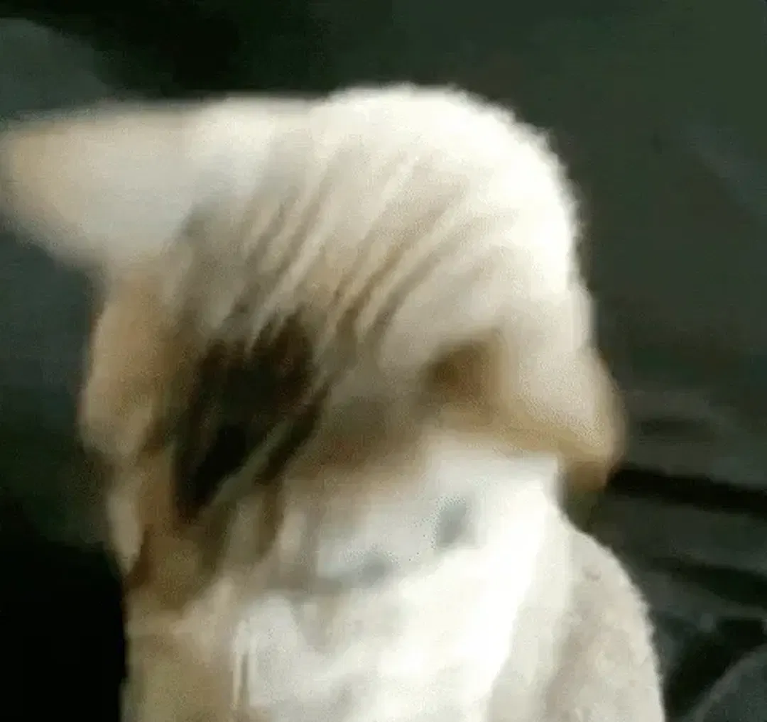 Im Ready Lets Go GIF by Leroy Patterson on GIPHY
