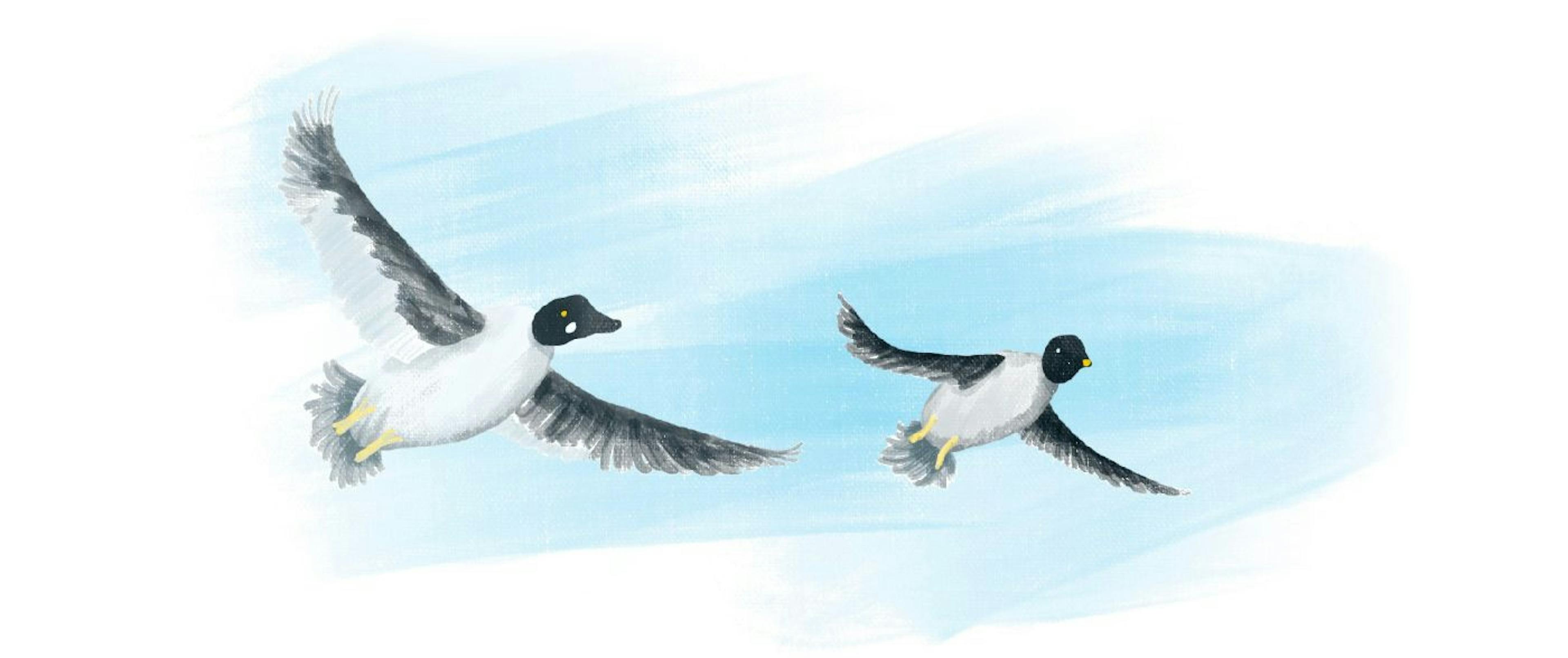 featured image - Remote IT Mentoring and How to Use it for Effective Collaboration