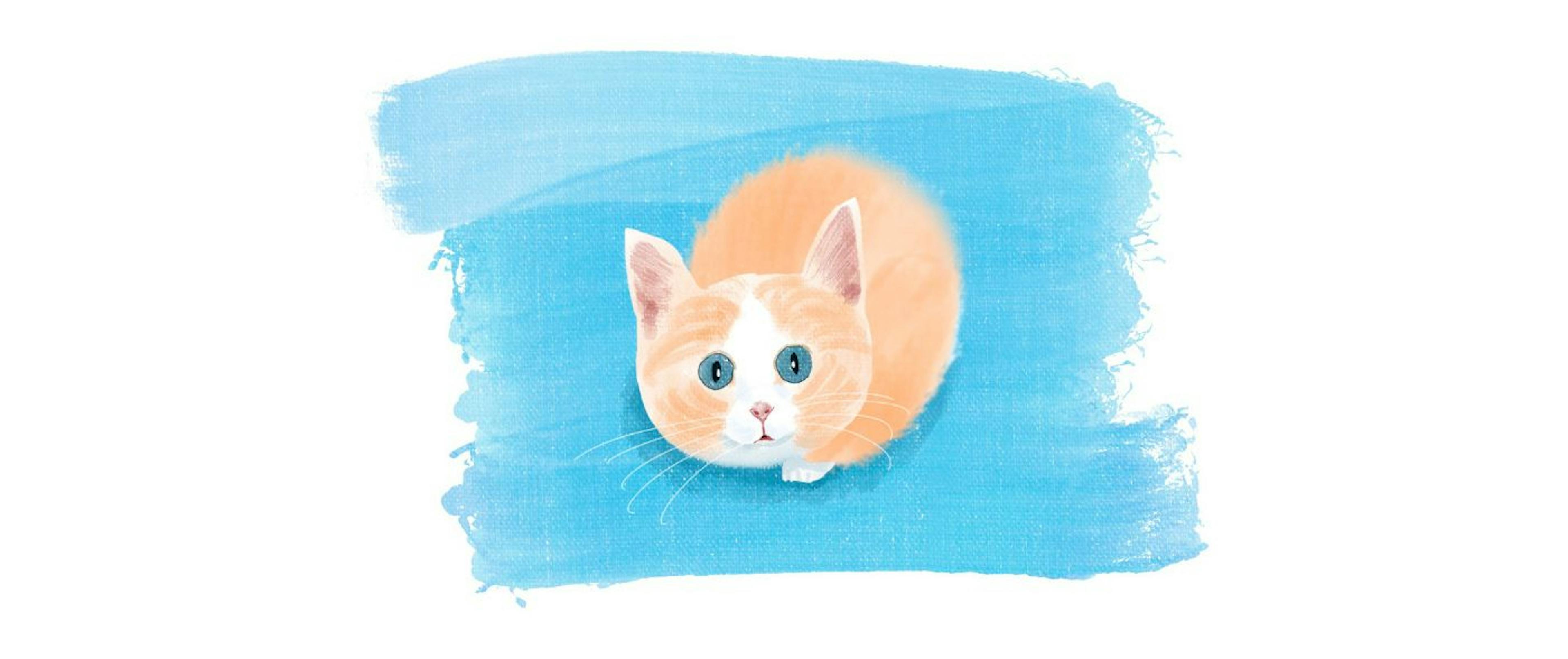 featured image - What Tech Newbies Need to Know According to Industry Insiders