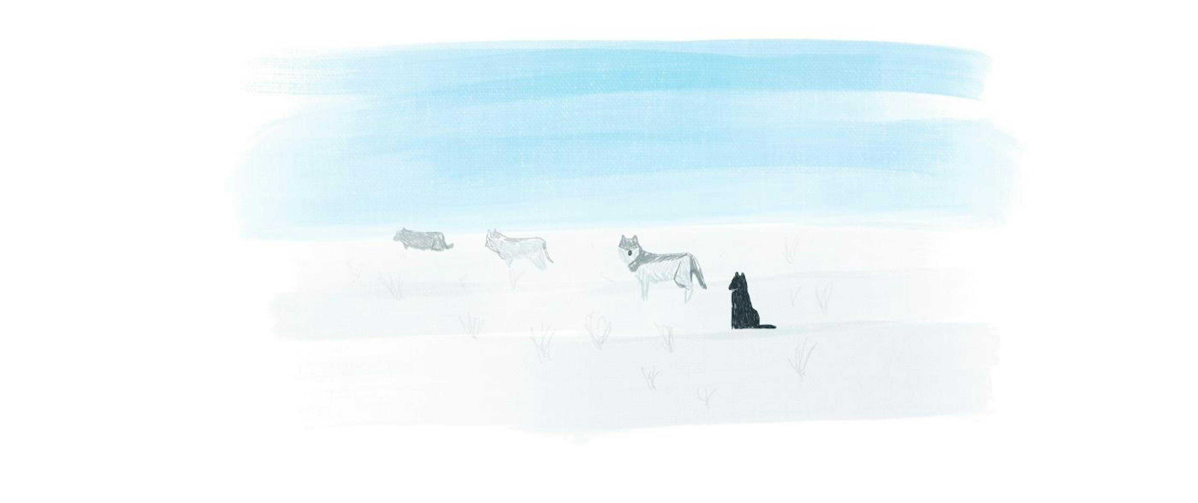 featured image - A Guide for Beginner Programmer on Using Git in a Team