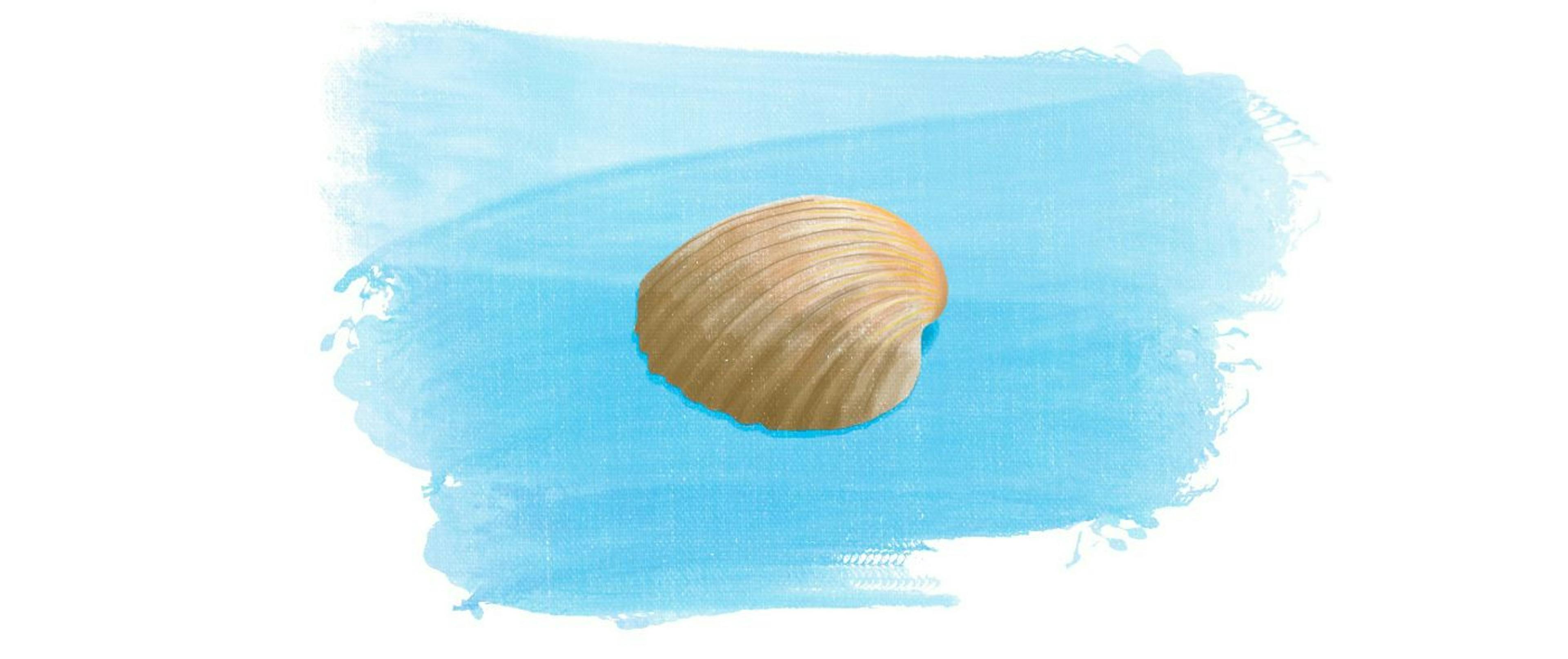 featured image - Developers Like to Use Shell - Here's Why