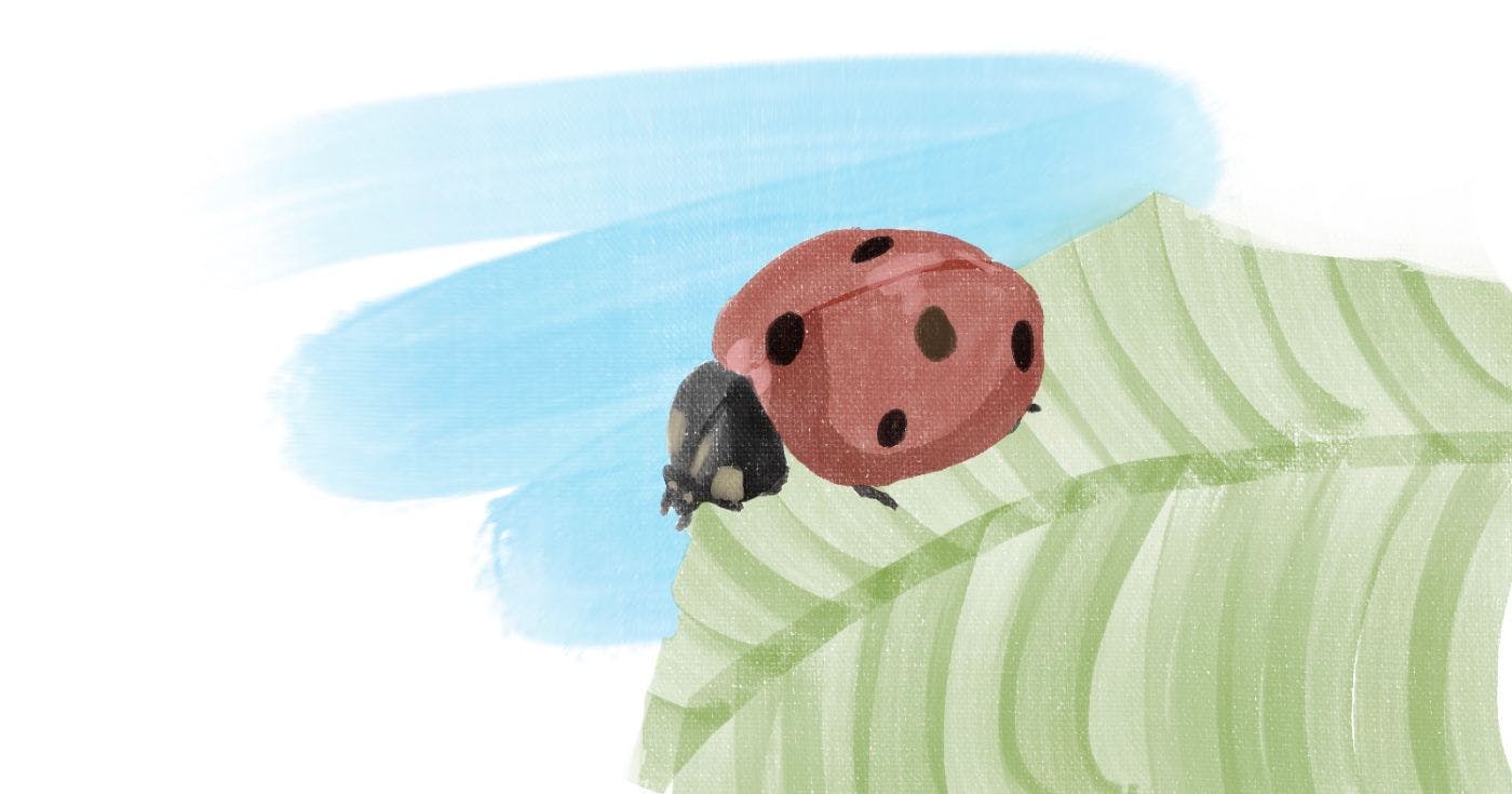 featured image - What Fixing a Bug Looks Like