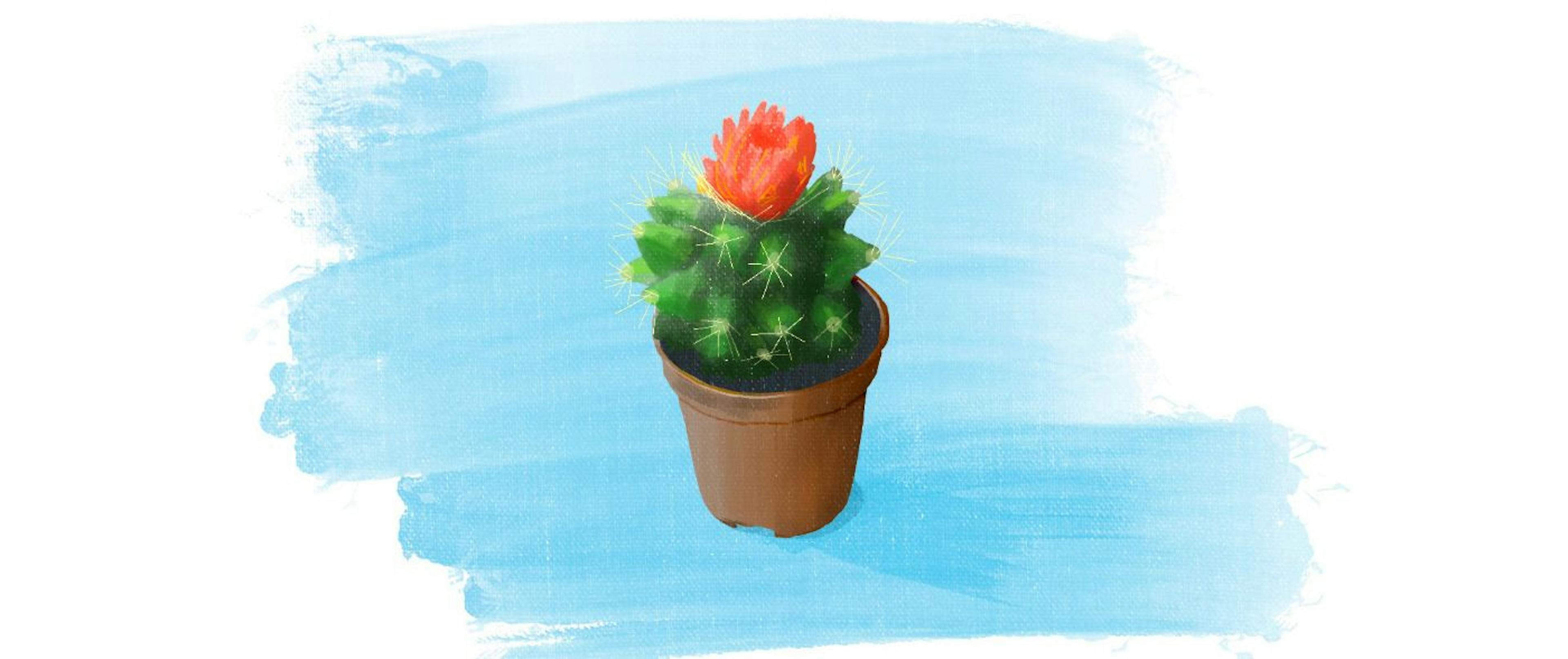 featured image - Tips and Stories on Getting into Tech with No IT Background