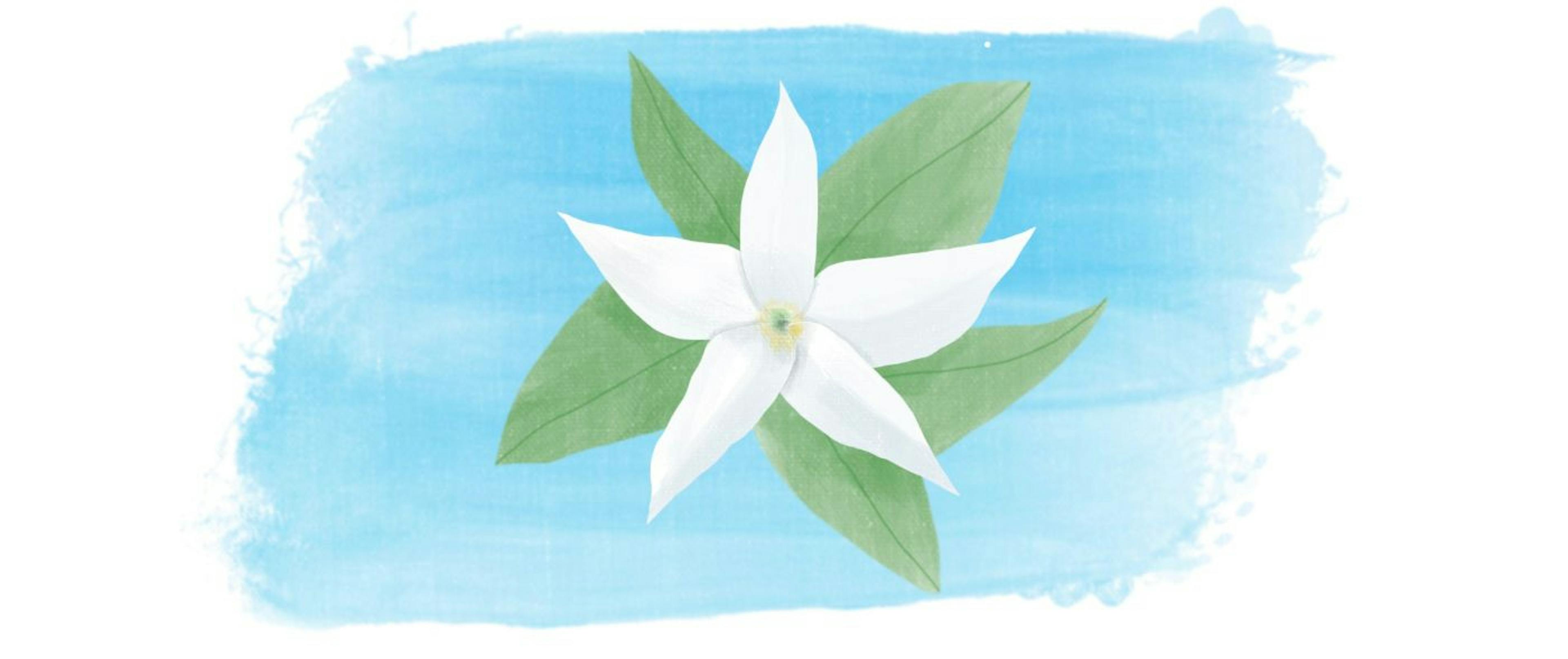 featured image - How to Write Your First Unit Test With Jasmine