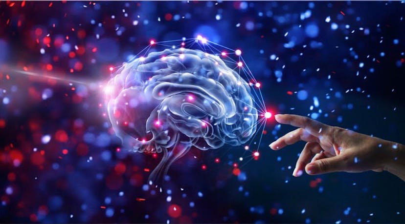 /a-guide-for-beginners-in-neurohacking-cheat-codes-to-obtain-ridiculous-brainpower feature image