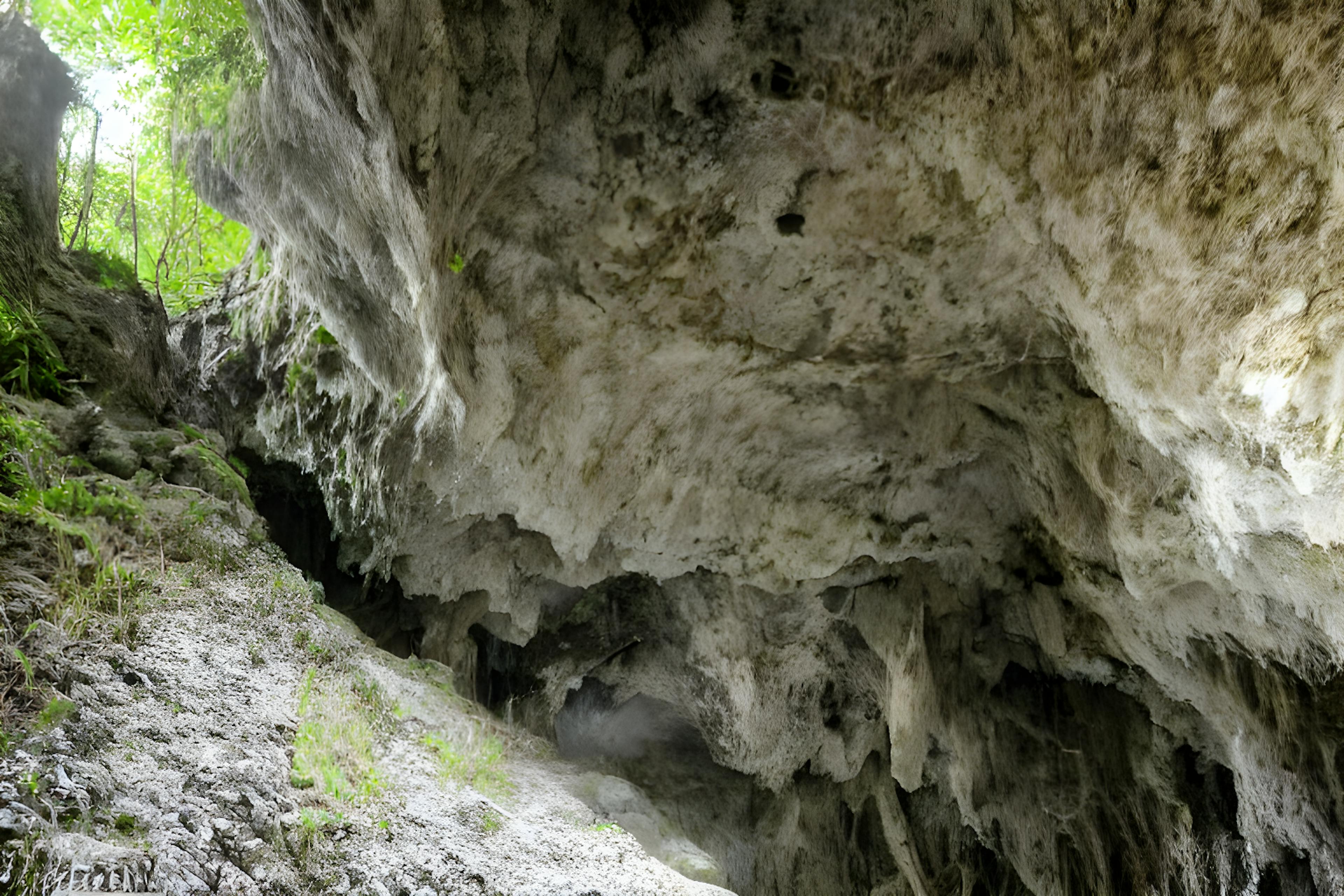 featured image - THROUGH THE CARRION CAVES