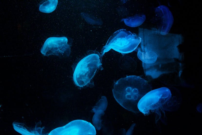 /taking-a-closer-look-into-googles-alloydb-architecture-for-postgresql feature image