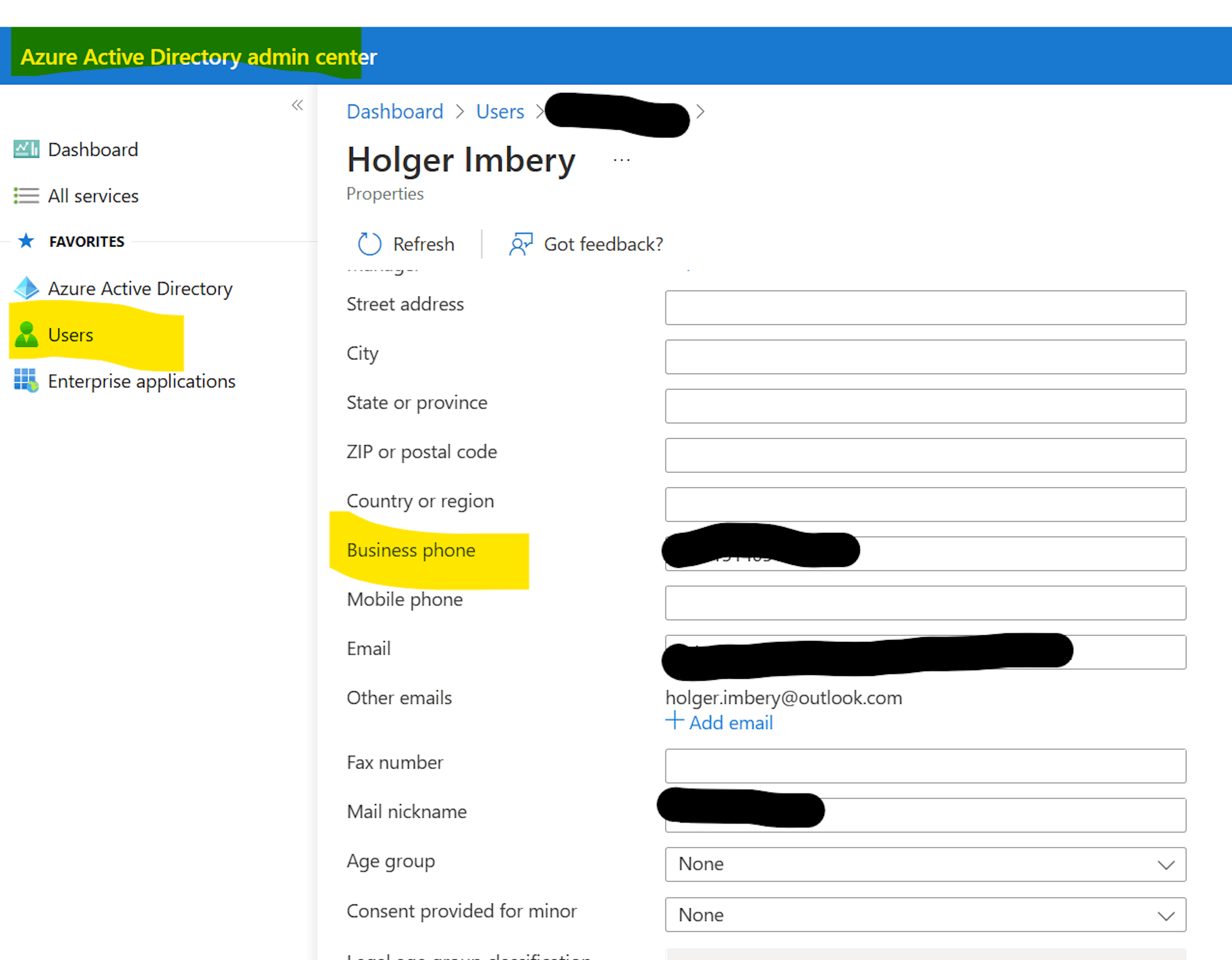 Add phone number in Business Phone field