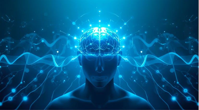 /the-serenity-protocol-can-emotional-stability-be-engineered feature image