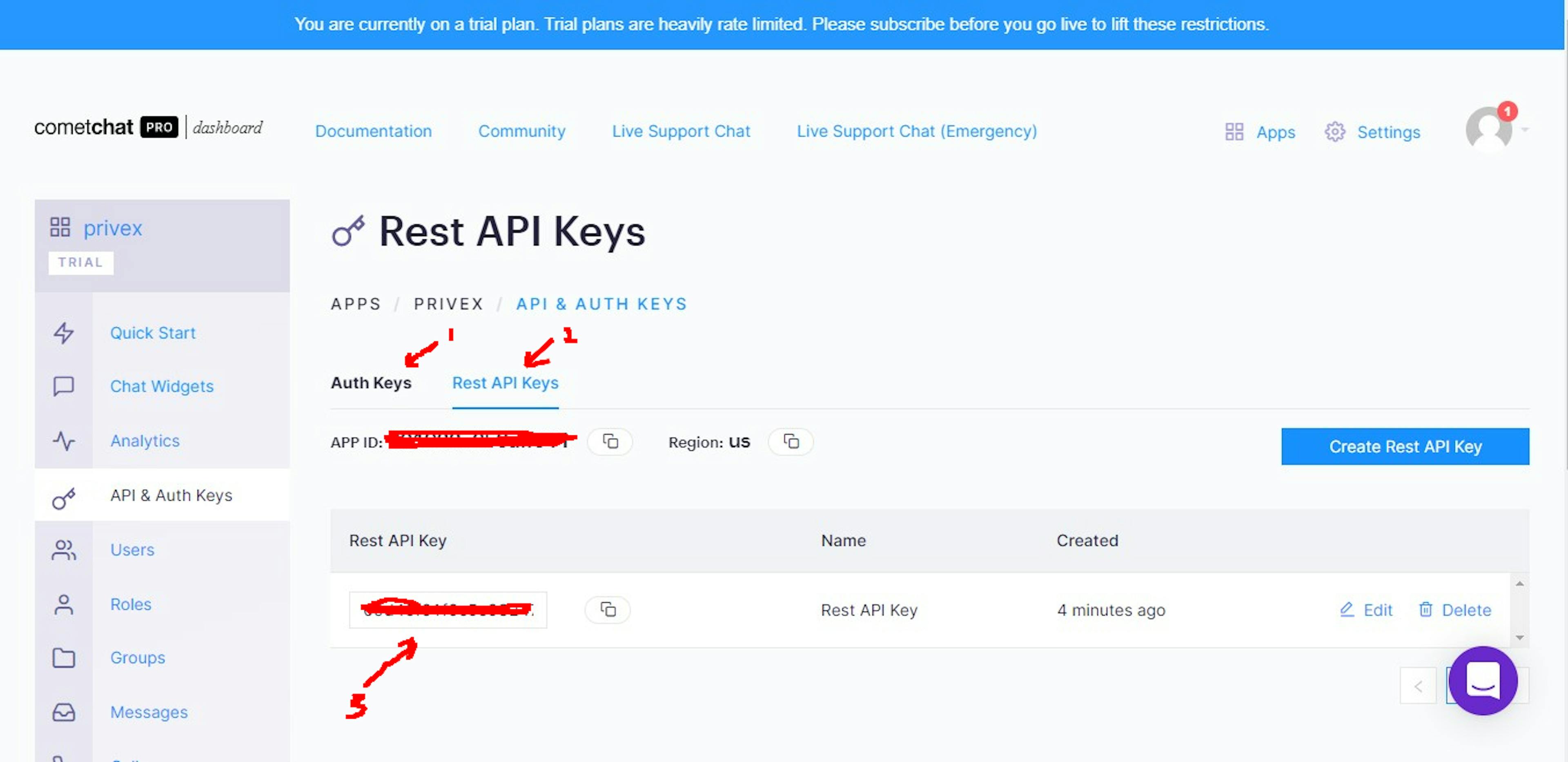 Rest API Key Here