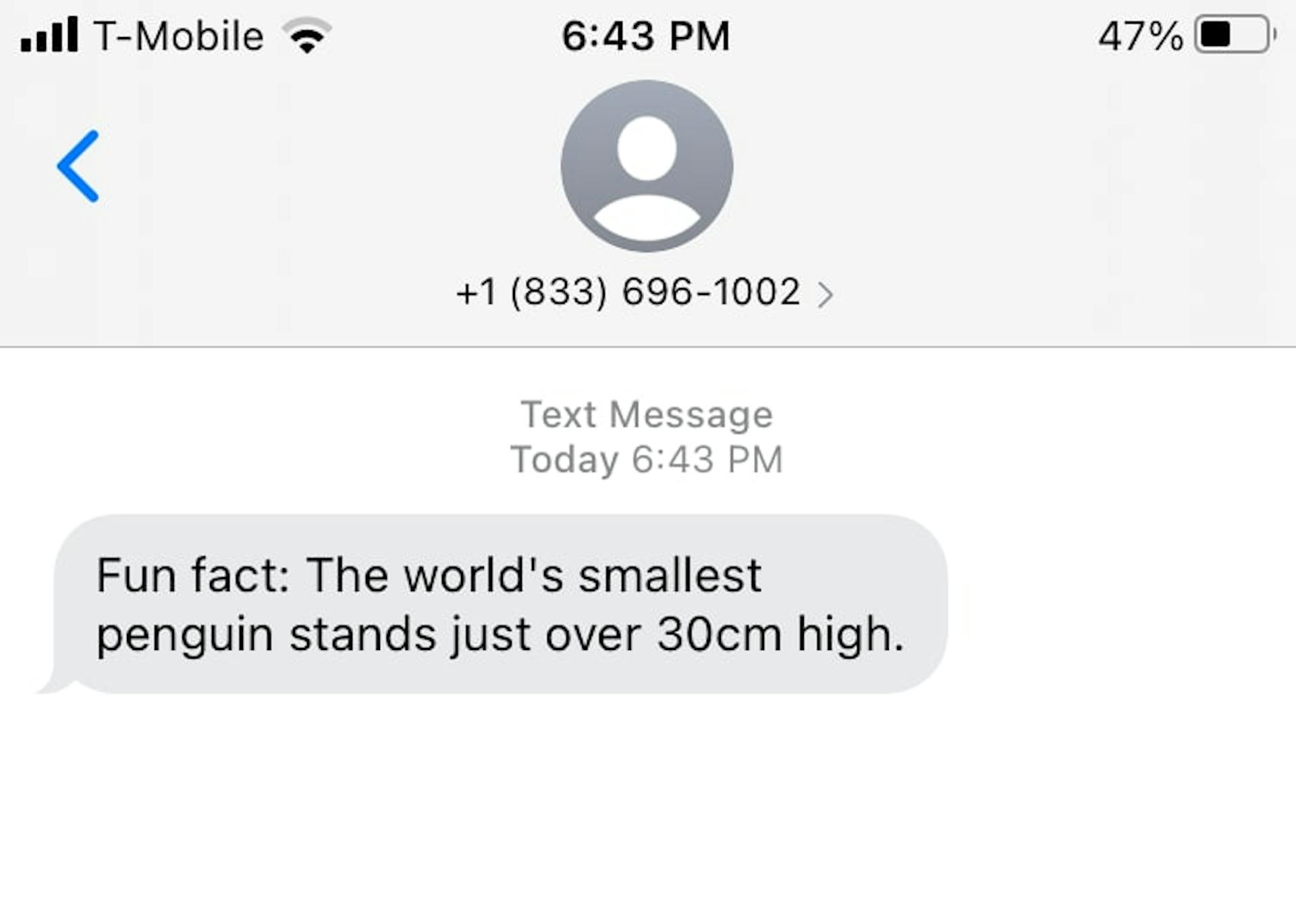 Text message with a fun fact about penguins