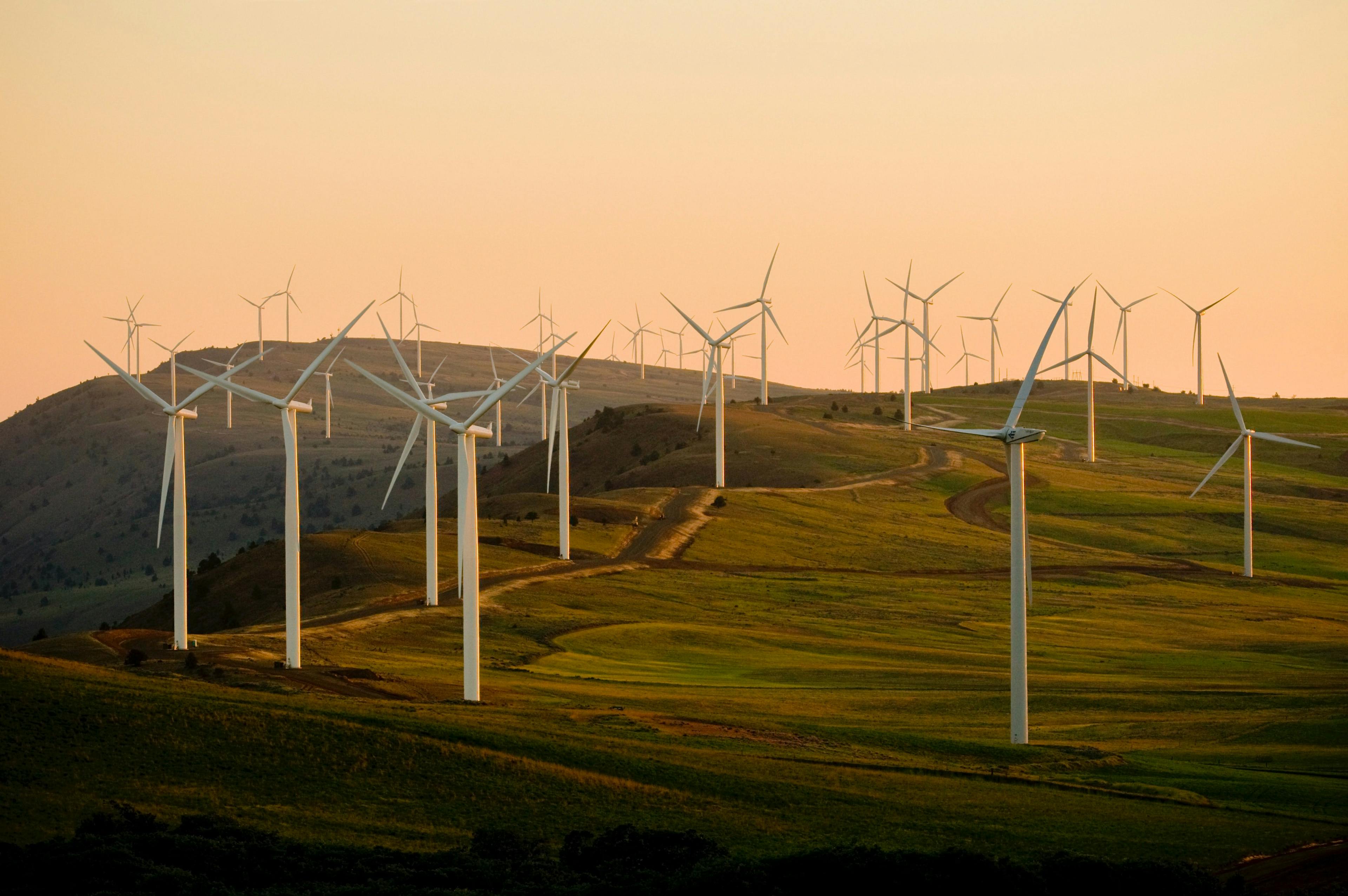 Bitcoin miners prefer cheap sources of energy, like wind power. Photo by American Public Power Association on Unsplash