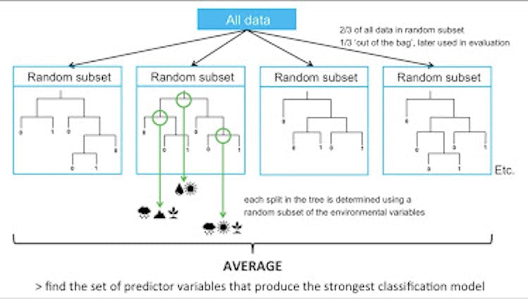 free course to learn Machine learning for beginners