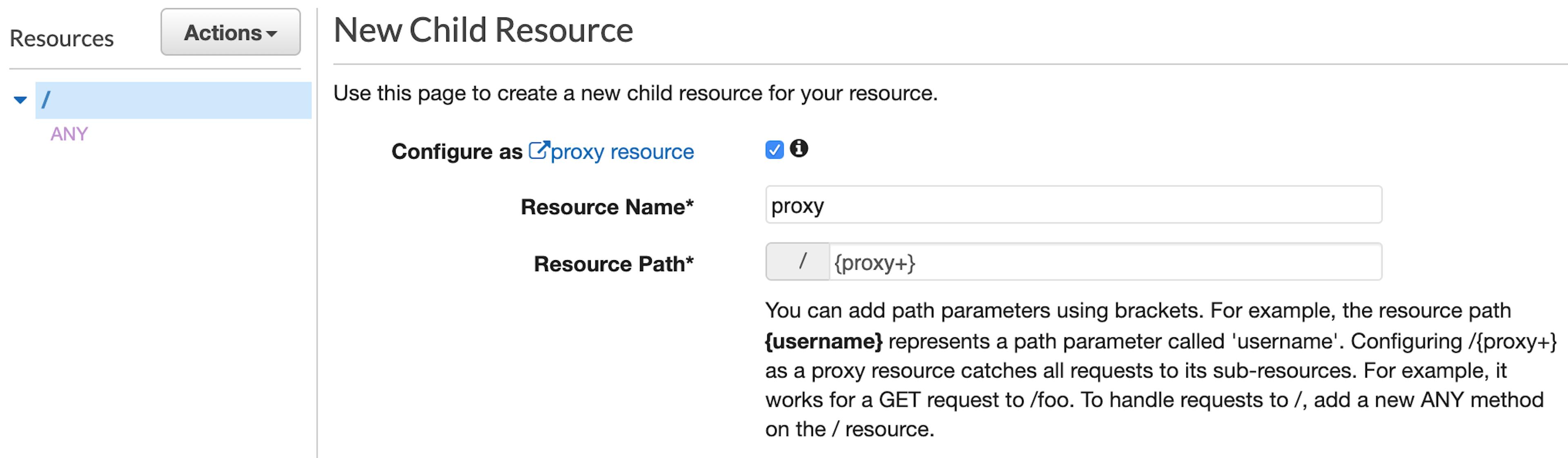 API Gateway catch-all