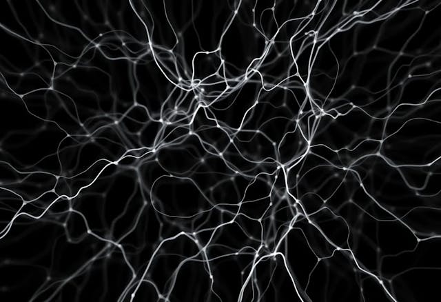 /why-neural-fields-beat-grid-based-methods-for-spatiotemporal-imaging feature image
