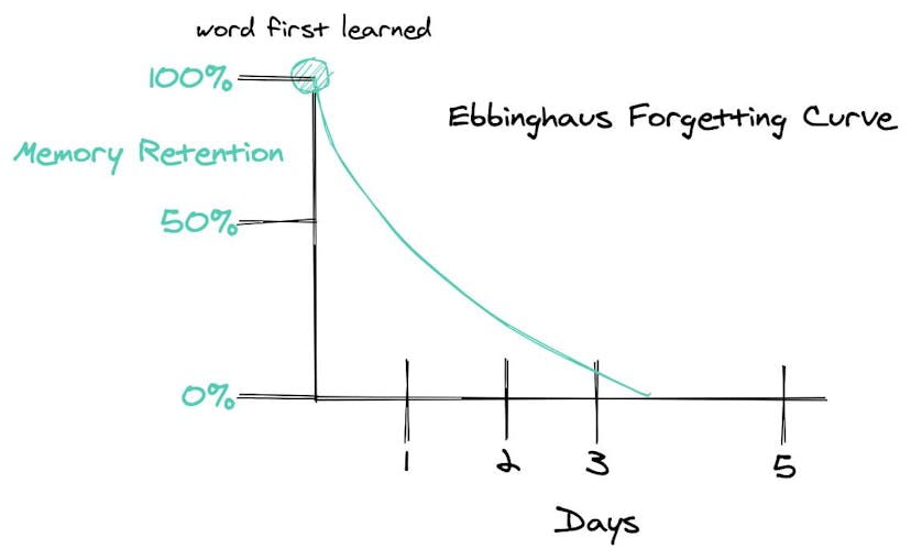 /how-the-yak-tack-algorithm-helps-you-remember-words-dm1z34vb feature image