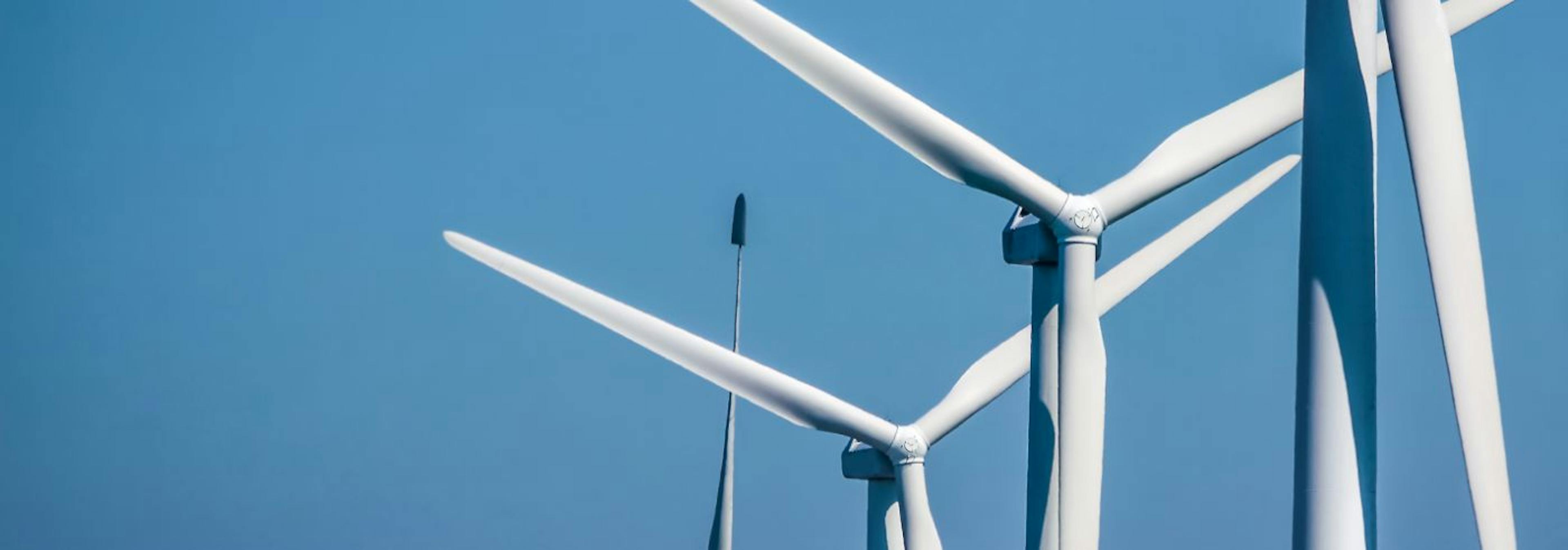 featured image - Life Cycle Assessment: Why It's the Key to Effective Sustainability Management