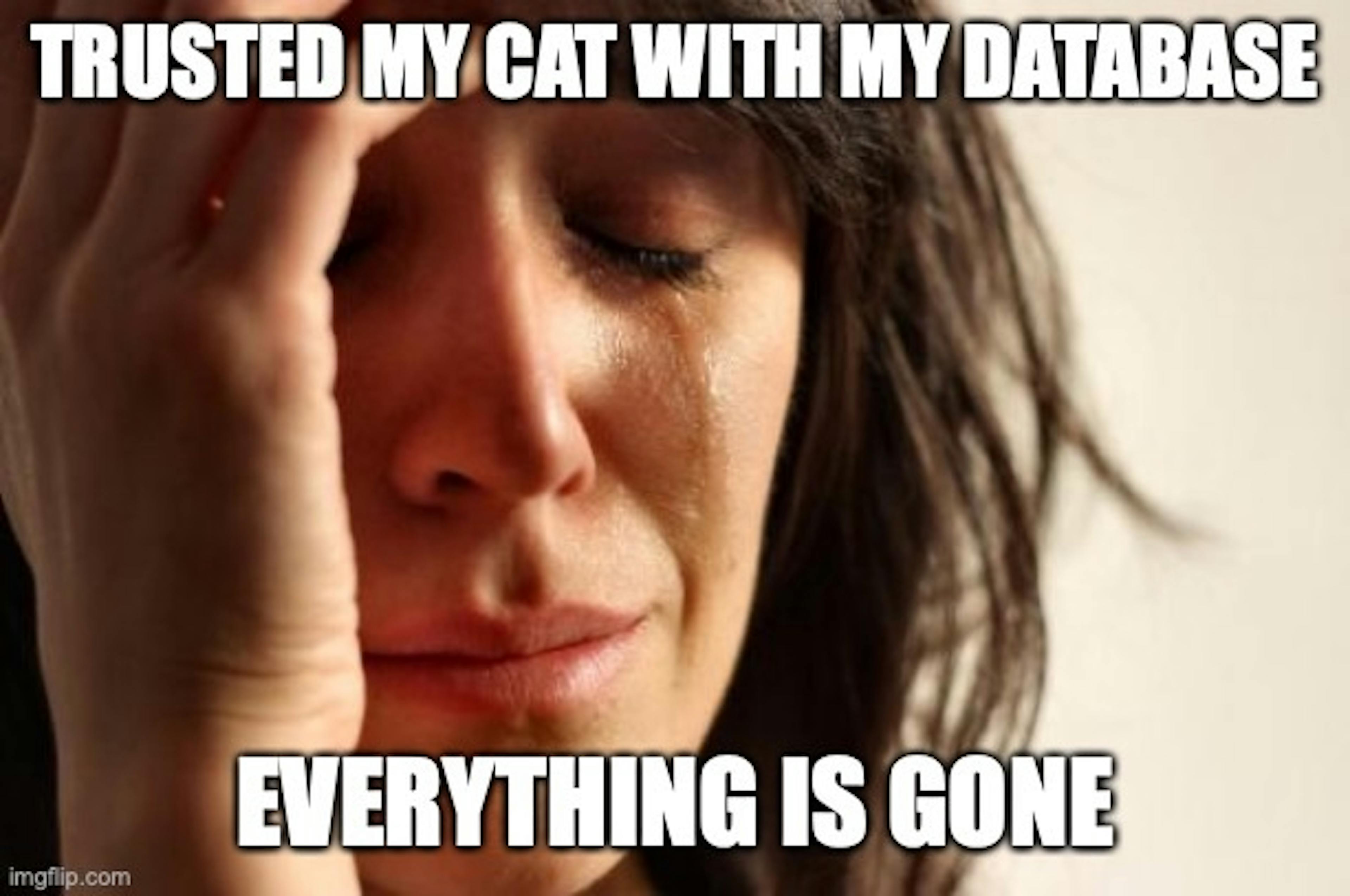 Database Security: Lessons to Ward off Cats