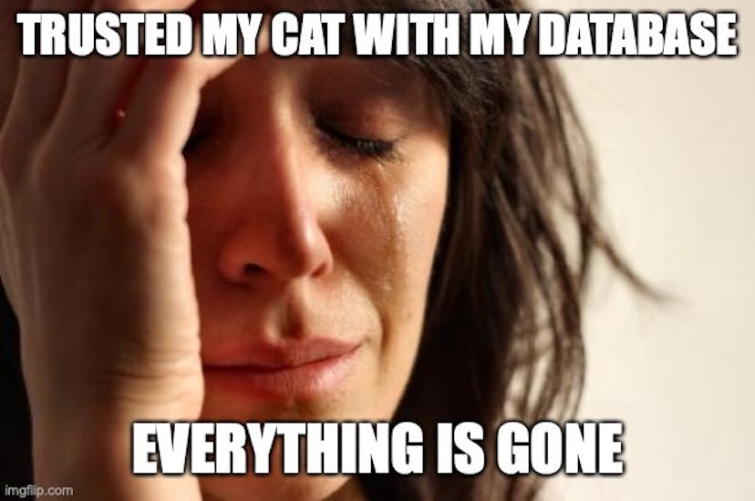 /database-security-lessons-to-ward-off-cats feature image