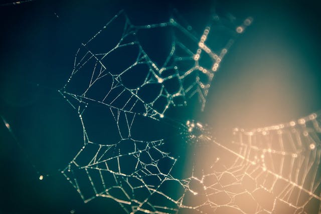 /3-trends-of-the-neural-network-usage-for-algorithmic-trading feature image