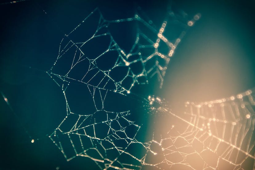 /3-trends-of-the-neural-network-usage-for-algorithmic-trading feature image