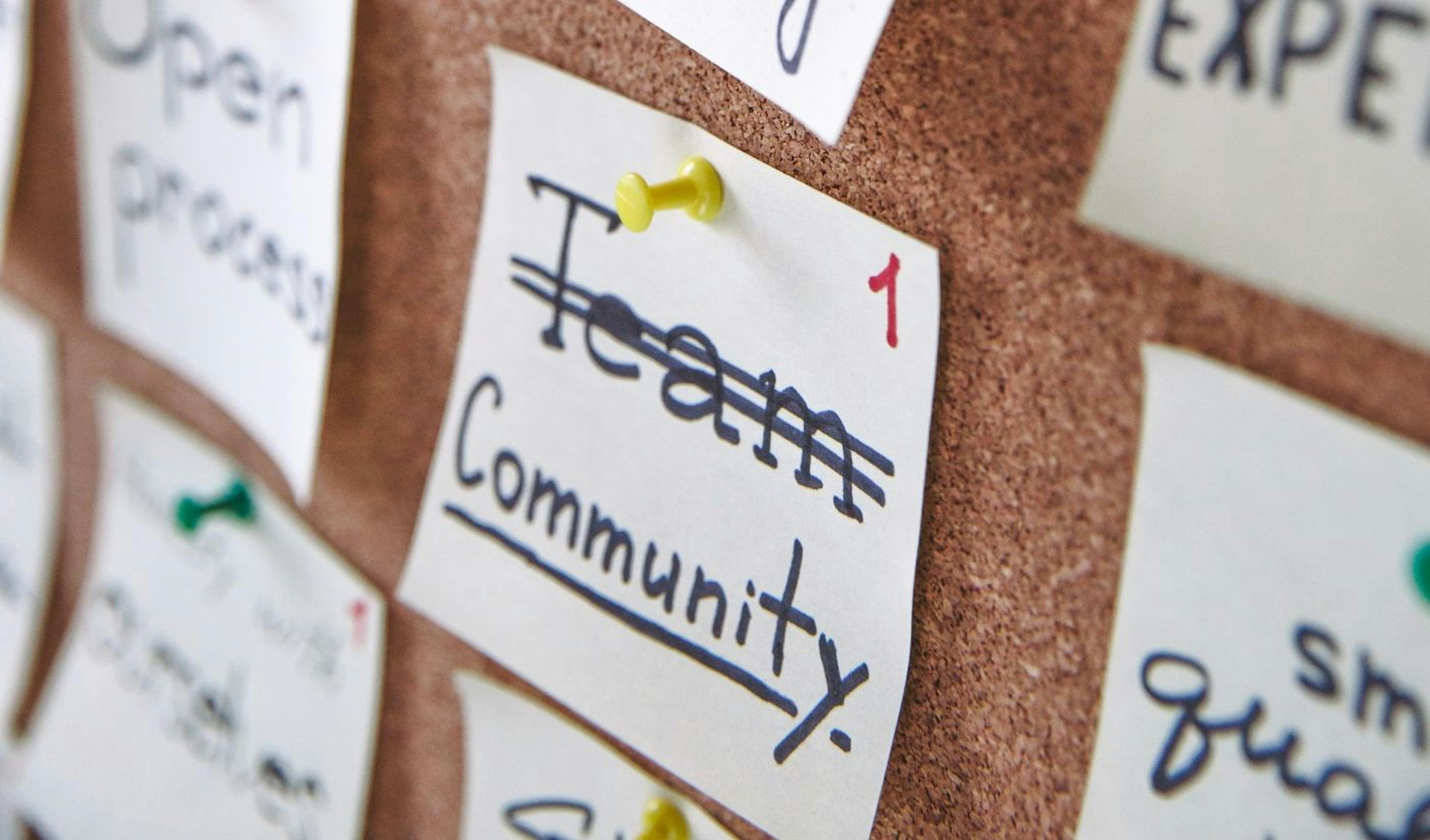 featured image - How to Earn Profit on Crowd-sourced Automated Trading Communities