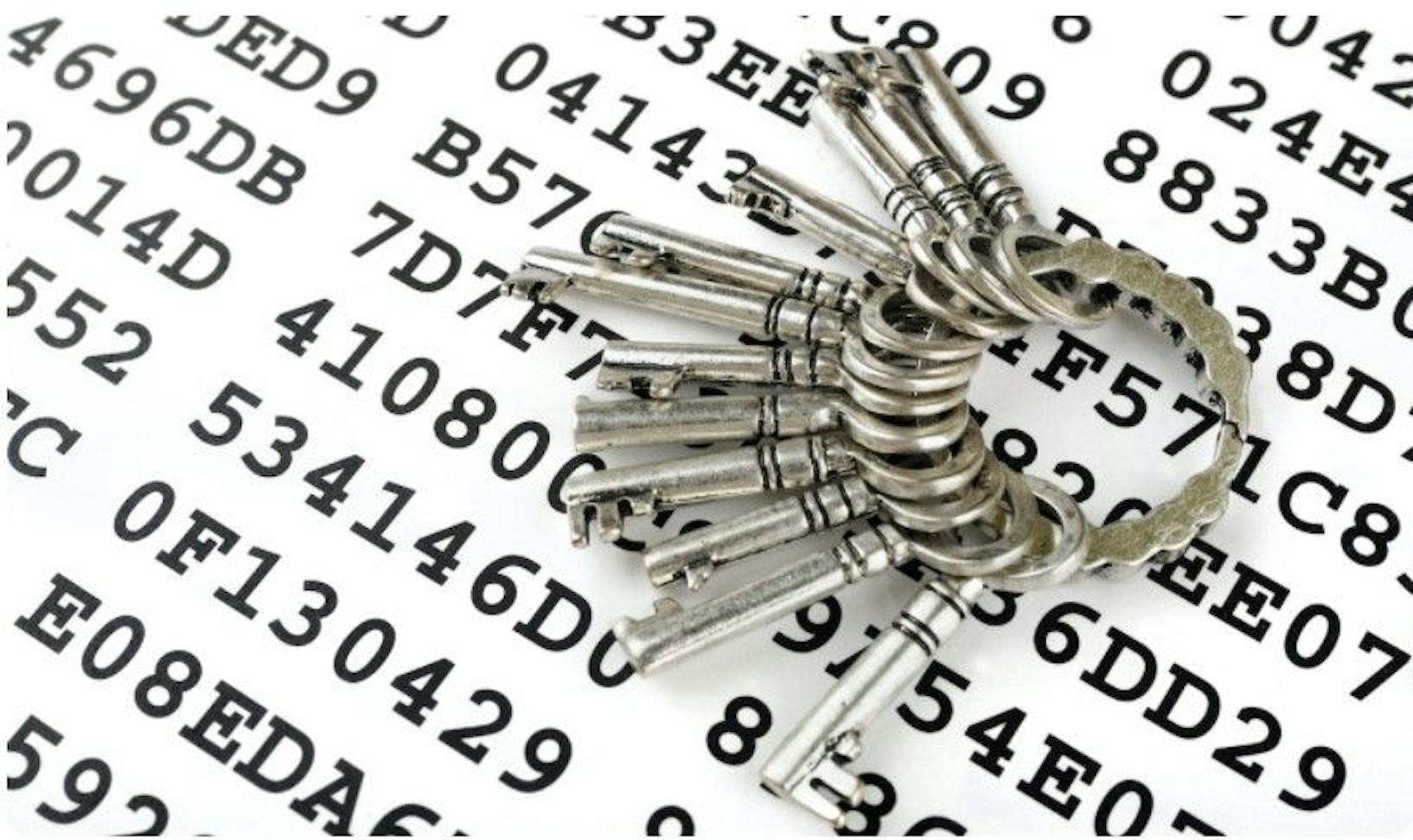 featured image - The Nitty Gritty of Public Keys vs. Private Keys in Crypto