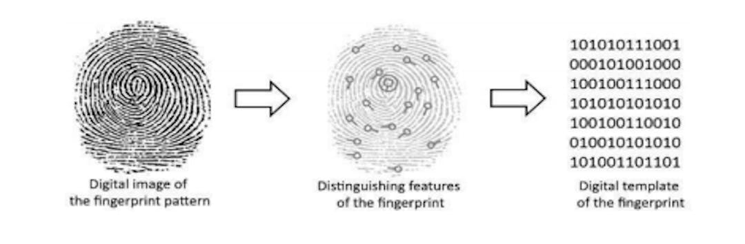 Figure:- Fingerprint patterns to a binary value available from arxiv.org