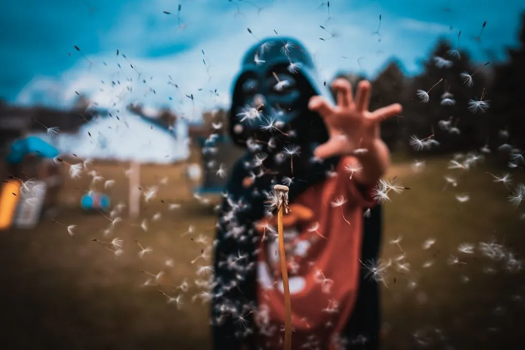 /api-prototyping-for-salesforce-with-postman feature image