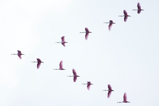 /how-to-migrate-your-apps-from-heroku-to-qoddi feature image
