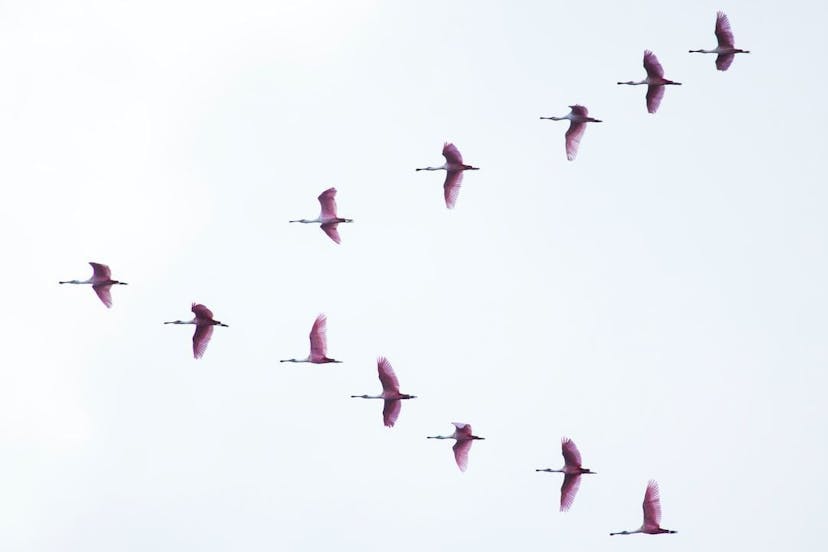 /how-to-migrate-your-apps-from-heroku-to-qoddi feature image