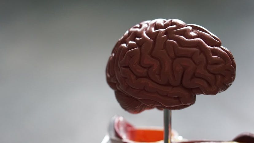 /how-to-use-an-eeg-band-and-a-mobile-app-to-access-your-brain feature image