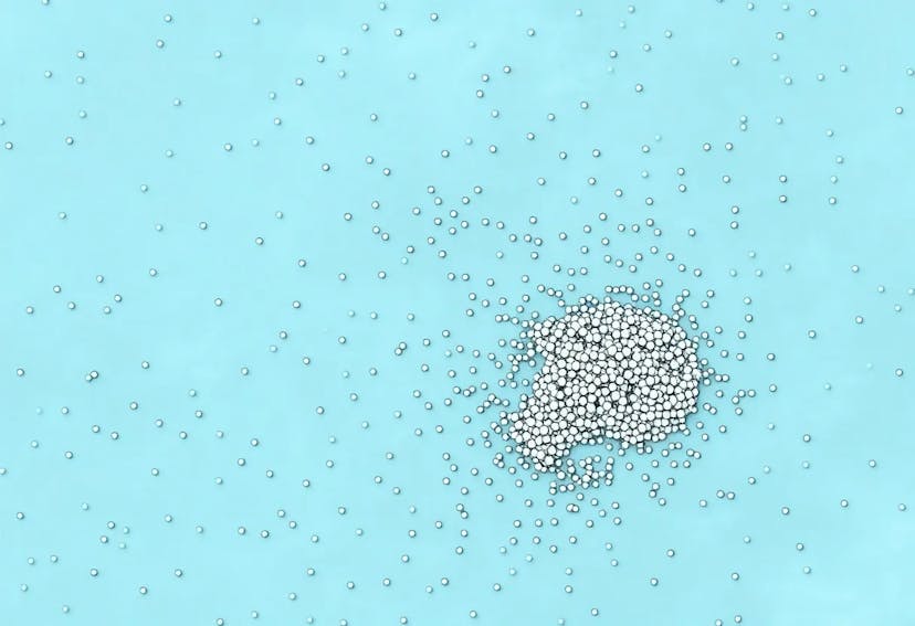 /persense-a-one-shot-framework-for-personalized-segmentation-in-dense-images feature image