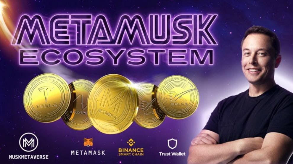 featured image - Elon Musk is Proof of Social Currency and Community Governance