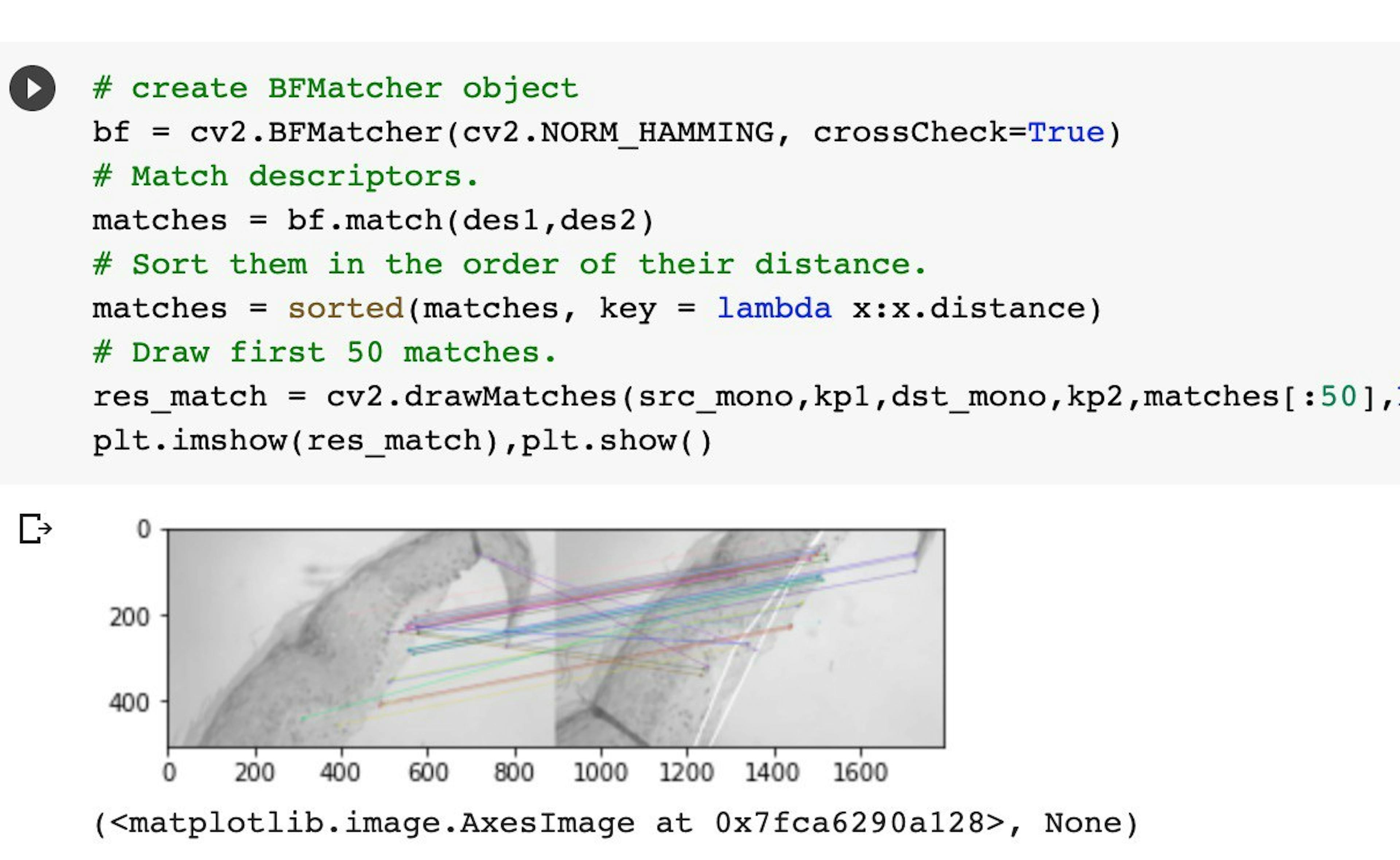 Excerpt from a Jupyter notebook with keypoint debugging for shift detection