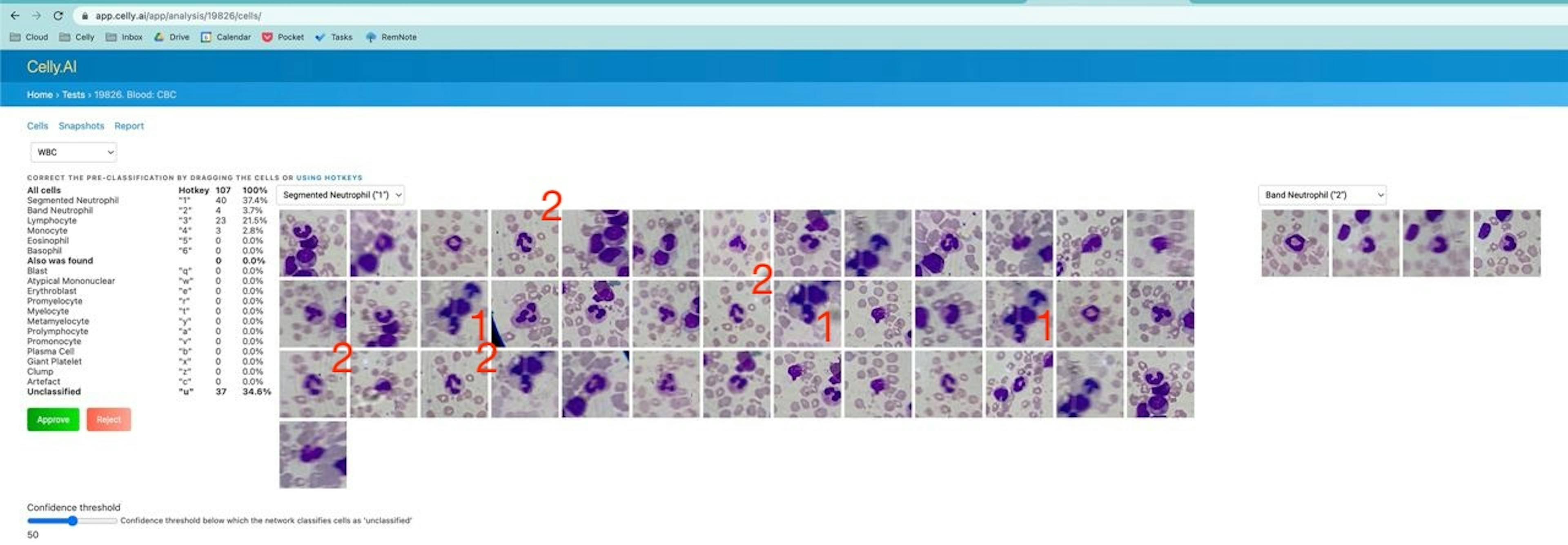 Image from the portal showing duplicate cells