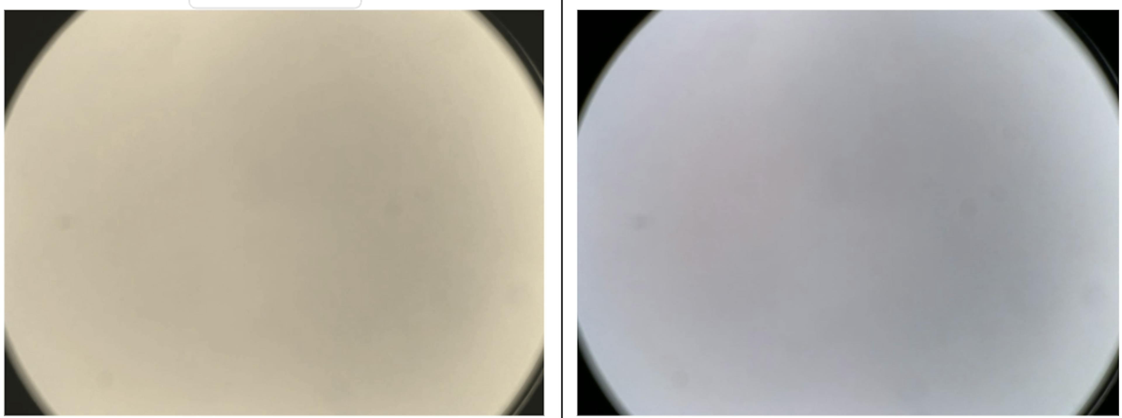 Image before and after calibration