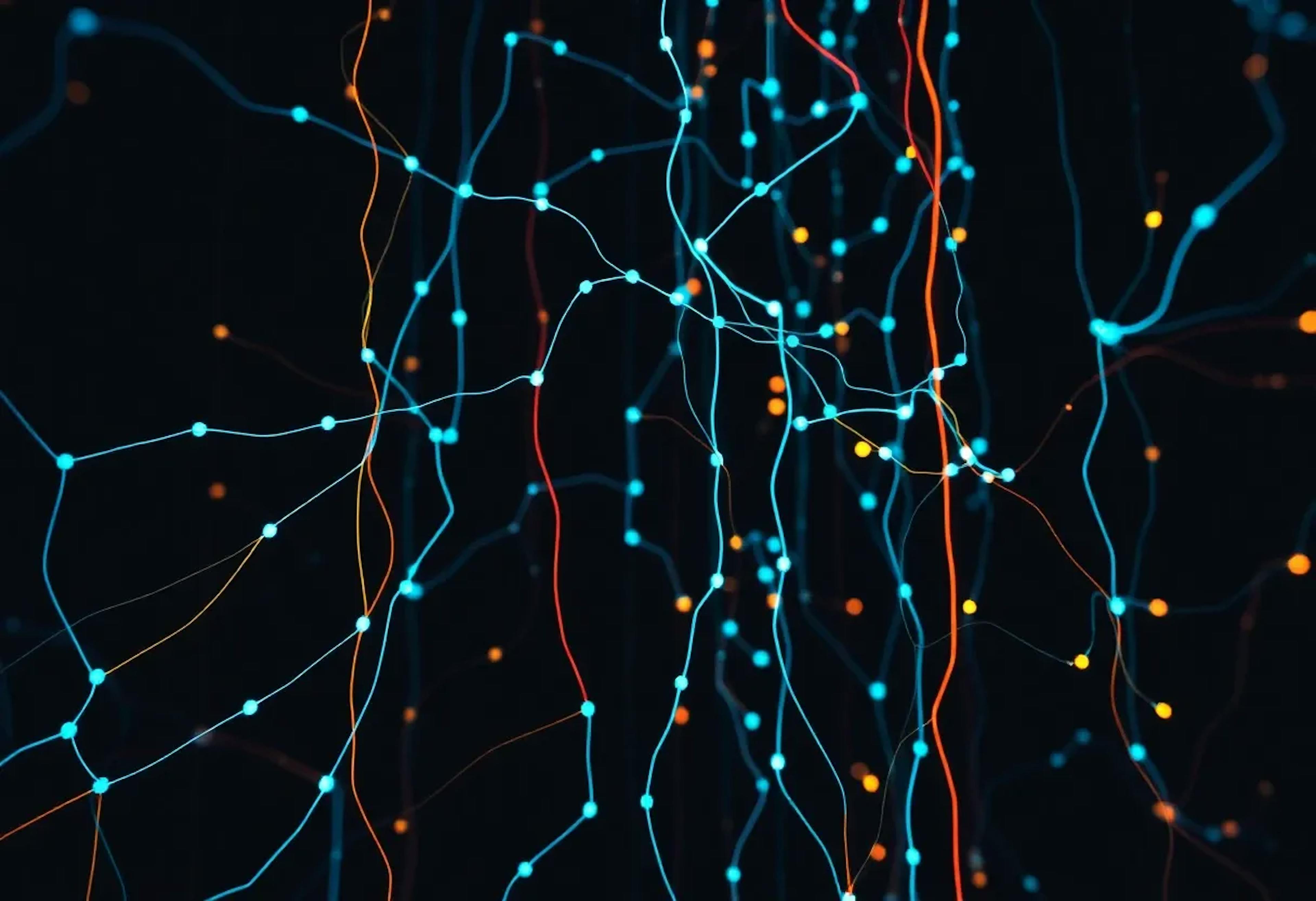 featured image - Self-Organizing Networks: Training Hyperbolic Partitioning Trees with LSEnet
