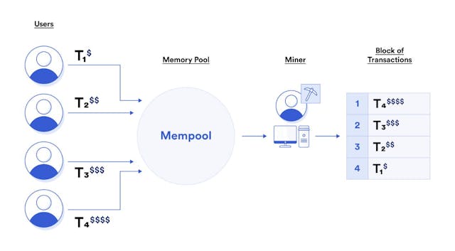 /what-is-the-difference-between-miner-extractable-value-vs-maximal-extractable-value feature image